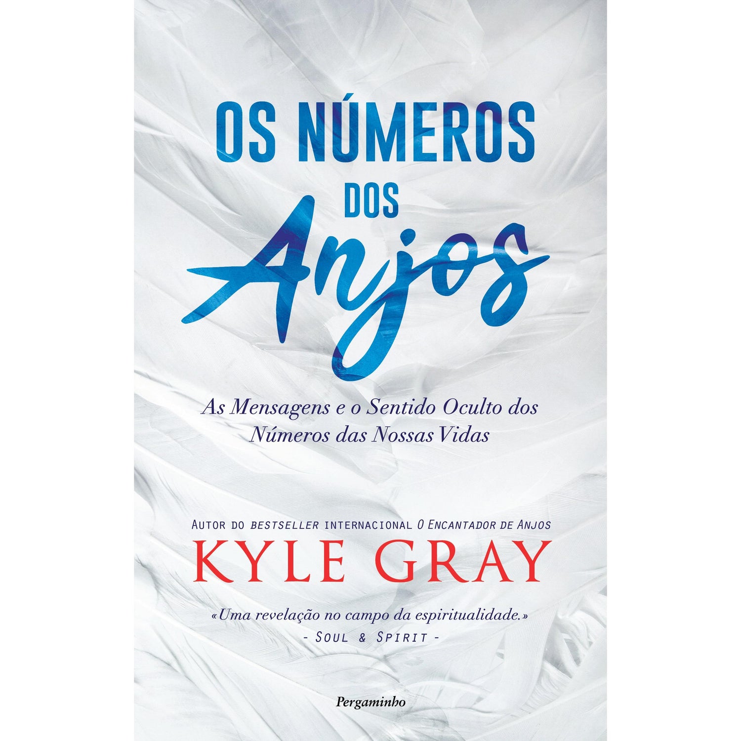 Os Números dos Anjos de Kyle Gray