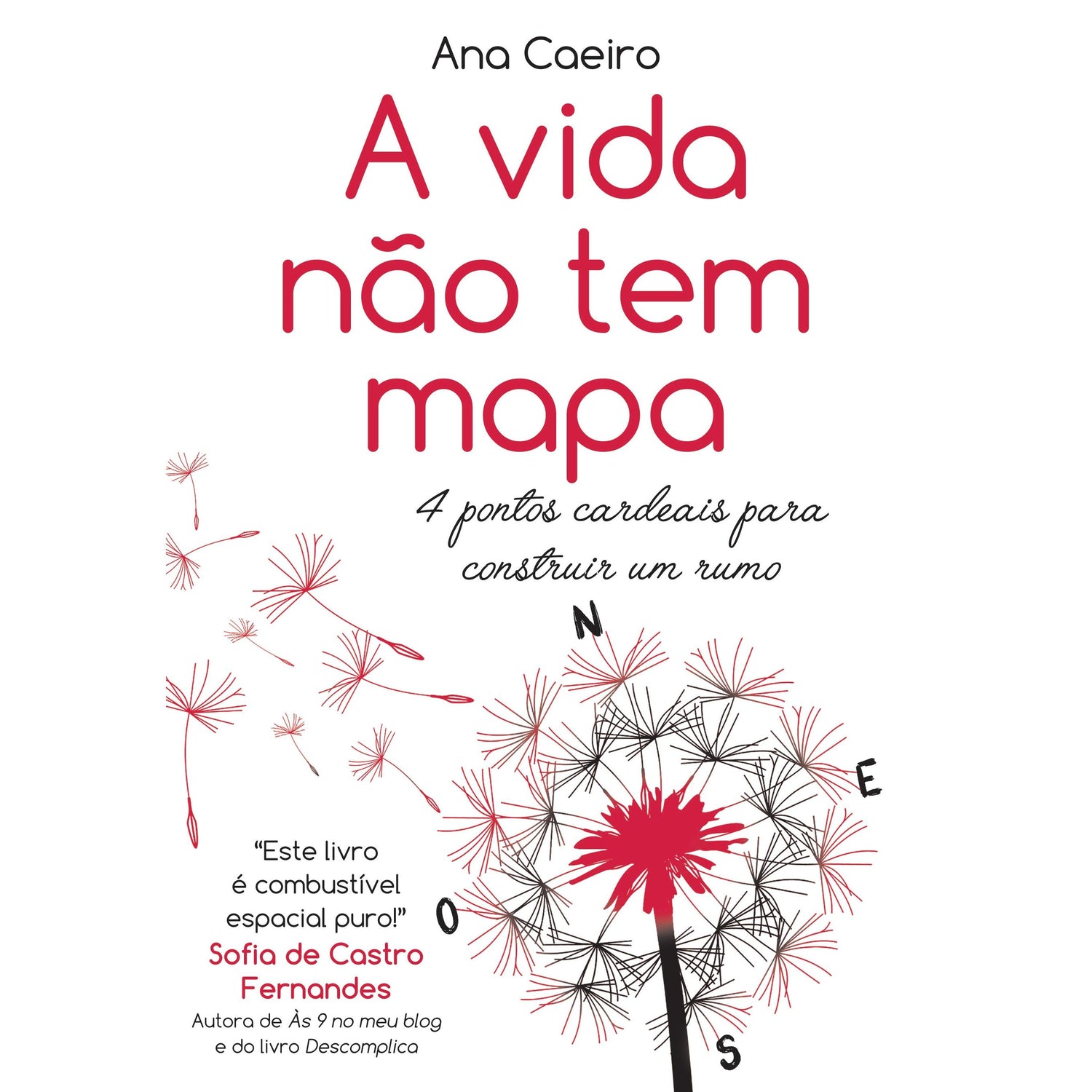 A Vida Não Tem Mapa de Ana Caeiro