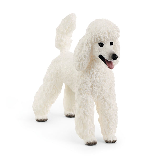 Caniche Schleich