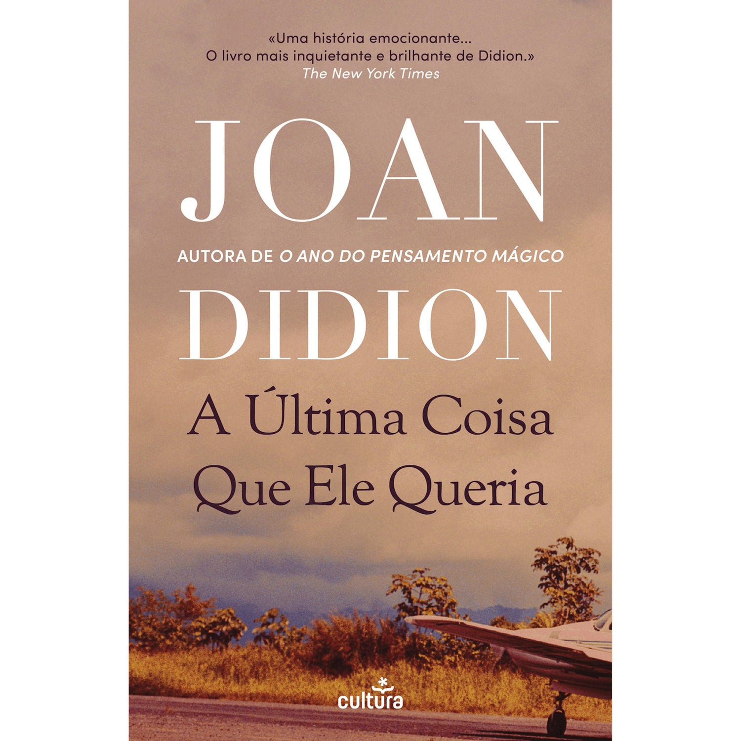 A Última Coisa que Ele Queria de Joan Didion