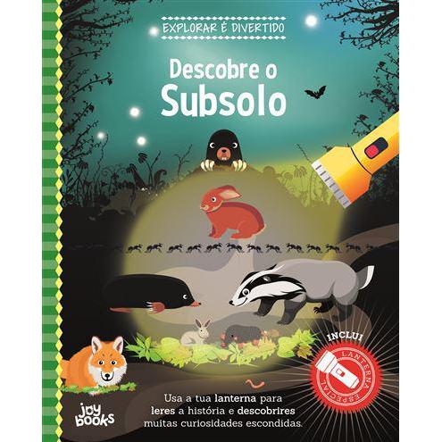 Descobre o Subsolo de Vários Autores - Explorar é Divertido