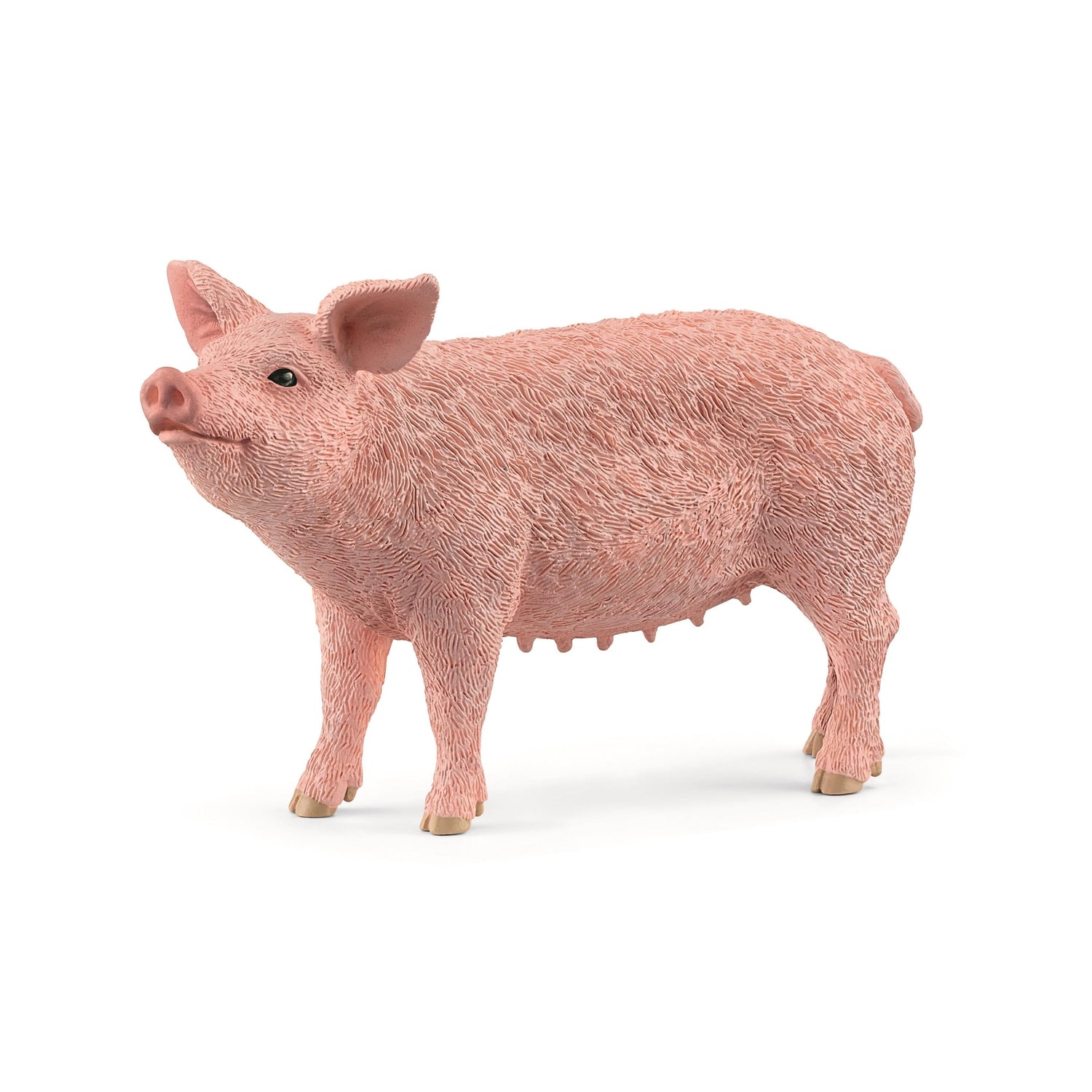 Porco Schleich