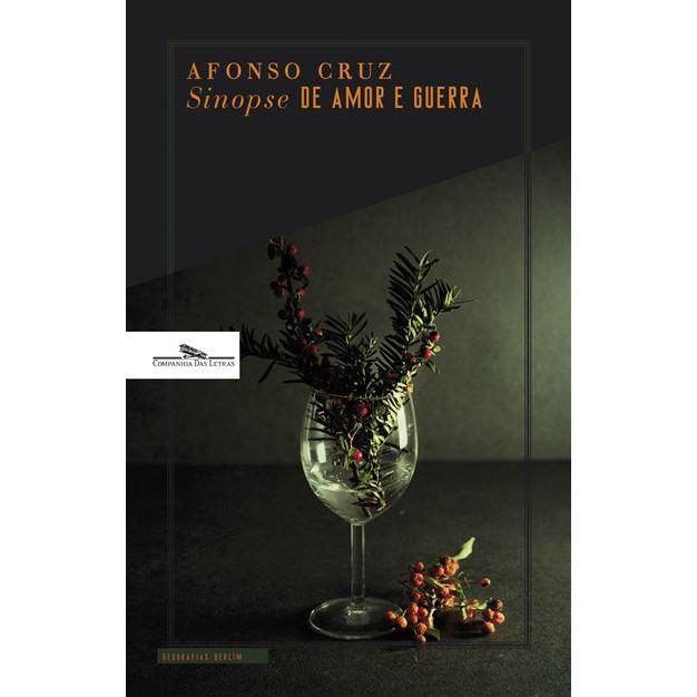 Sinopse de Amor e Guerra de Afonso Cruz