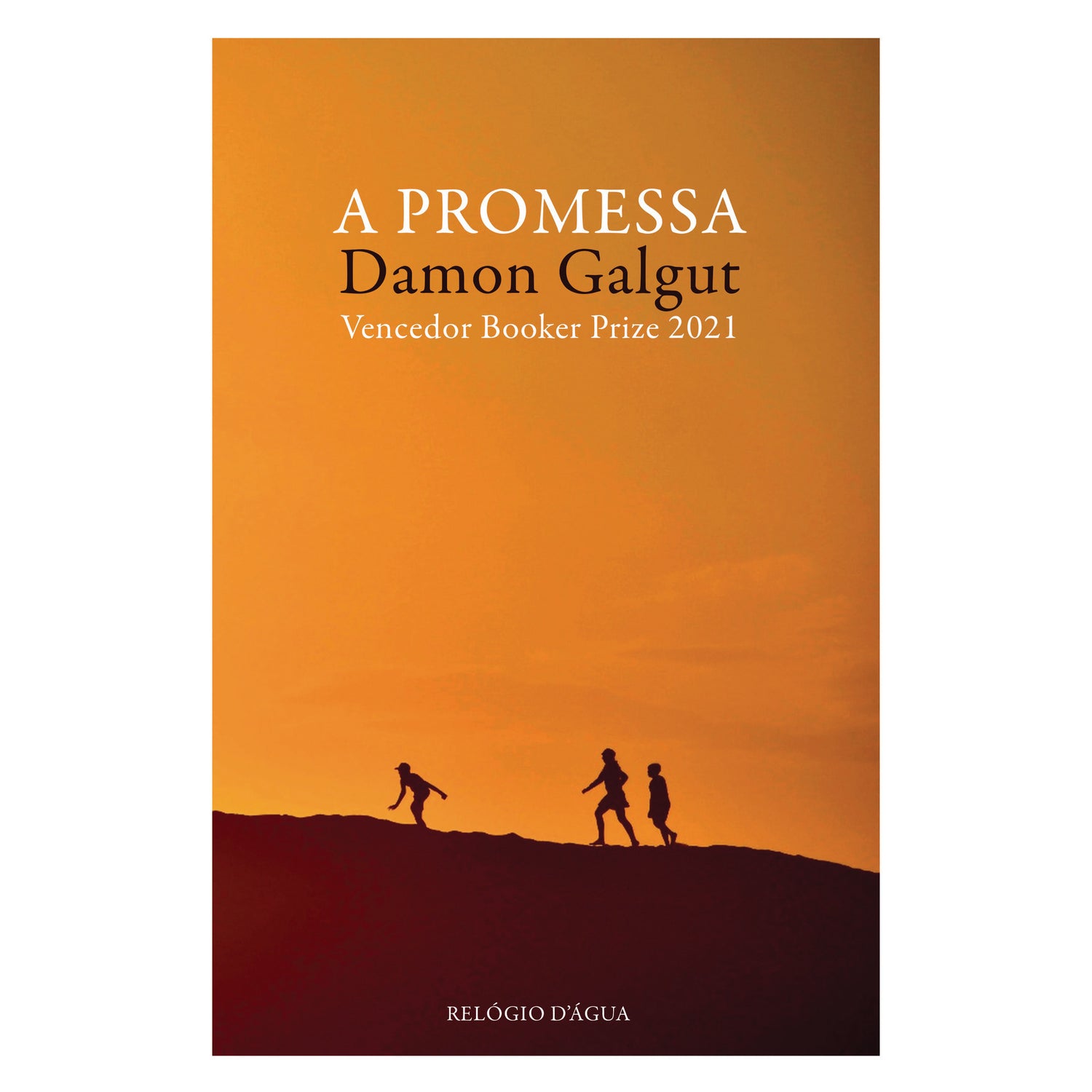 A Promessa de Damon Galgut