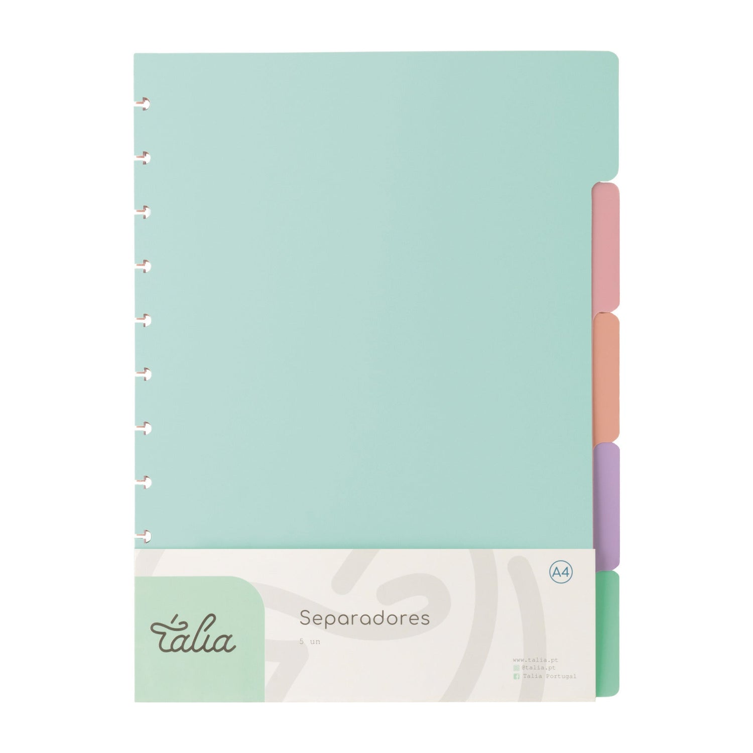 Separador A4 5 Divisórias para Caderno Smart Talia