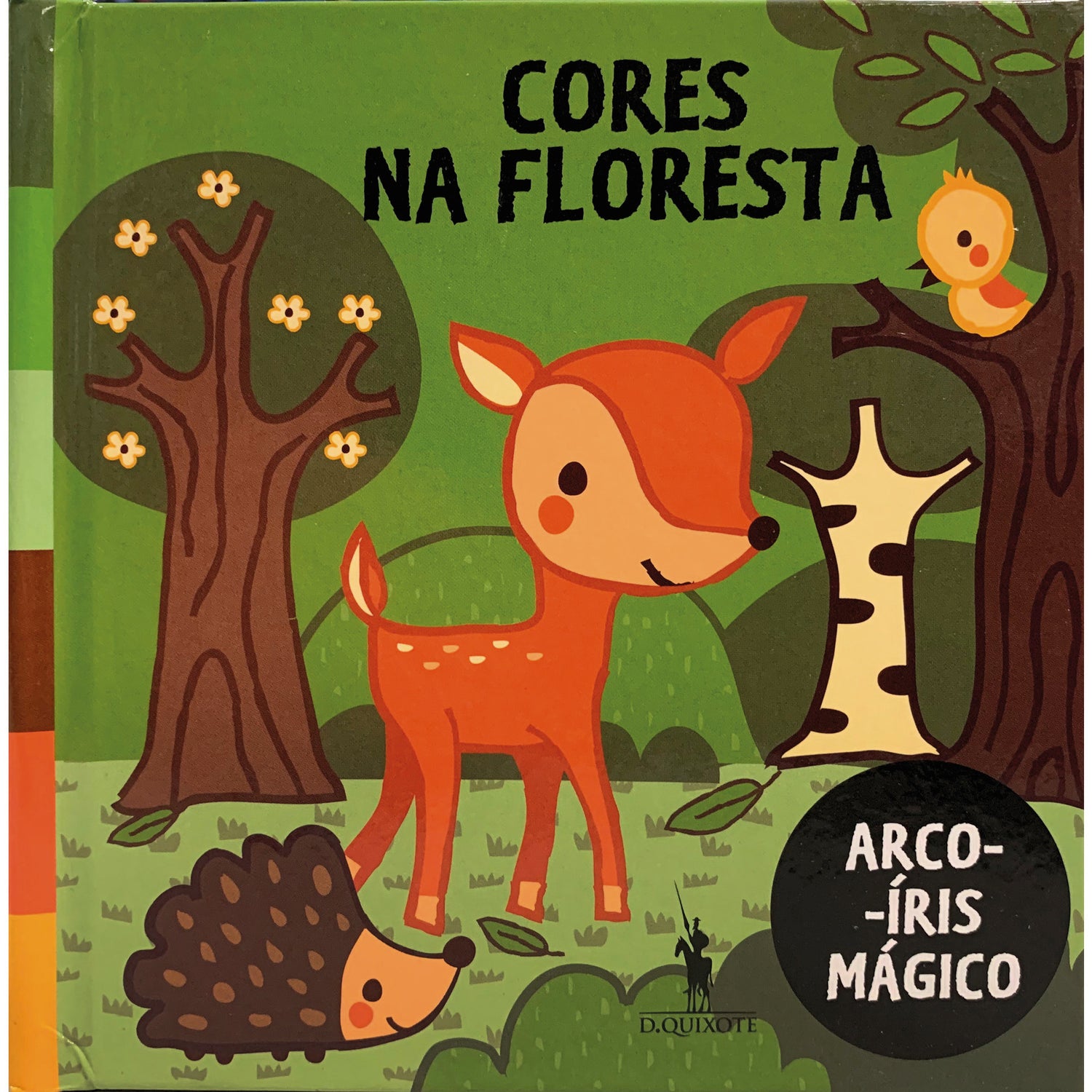 Arco-Íris Mágico - Cores na Floresta
