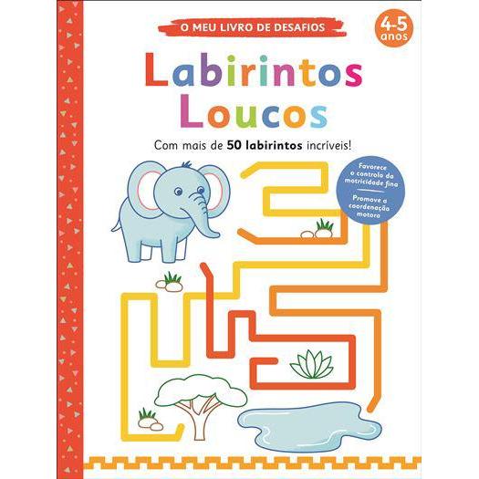 Labirintos Loucos de Elizabeth Golding - O Meu Livro de Desafios: