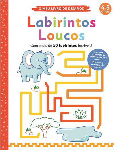 Labirintos Loucos de Elizabeth Golding - O Meu Livro de Desafios: