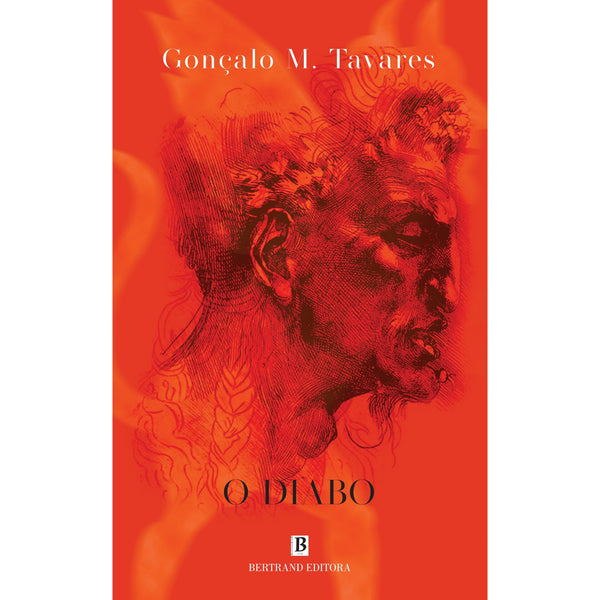 O Diabo de Gonçalo M. Tavares
