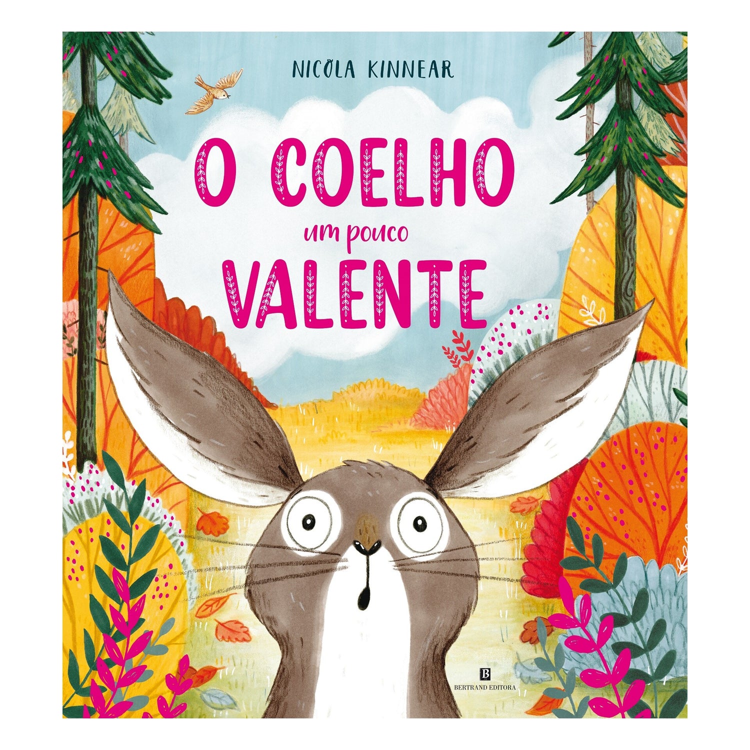 O Coelho Um Pouco Valente de Nicola Kinnear