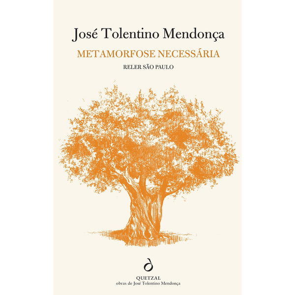 Metamorfose Necessária. Reler São Paulo de José Tolentino Mendonça