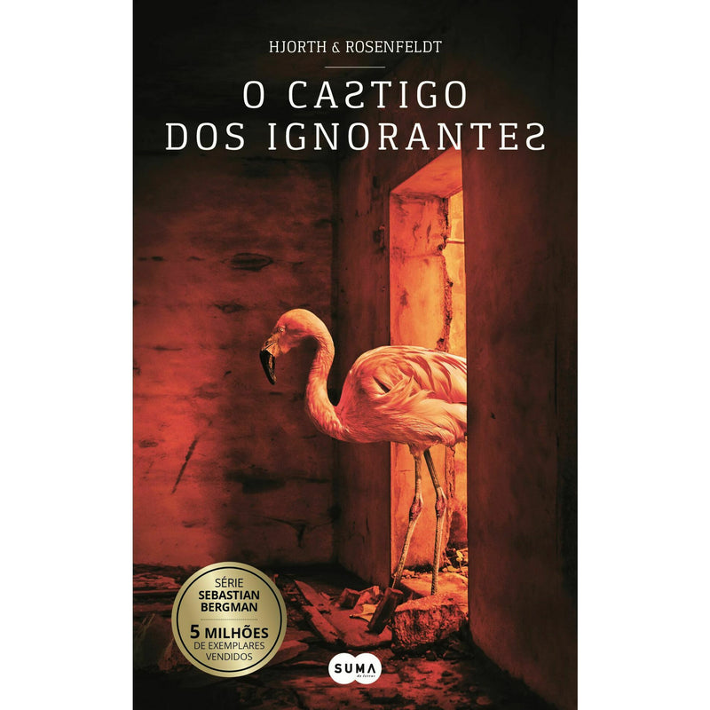 O Castigo dos Ignorantes de Hans Rosenfeldt e Michael Hjorth - Livro de Bolso