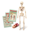 Conjunto Corpo Humano Clementoni