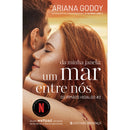 Os Irmãos Hidalgo - Livro 2: da Minha Janela: um Mar Entre Nós de Ariana Godoy