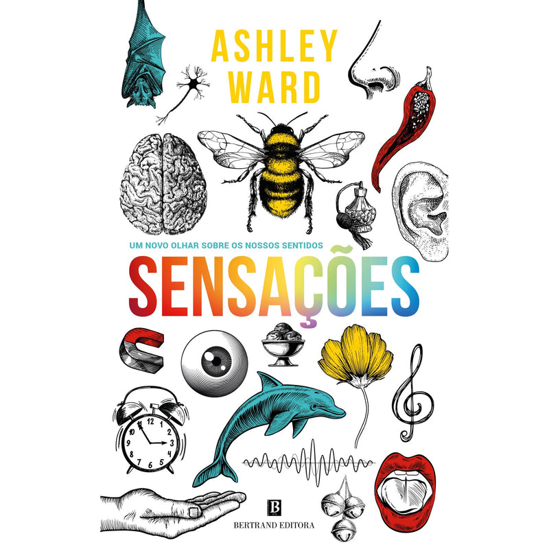 Sensações de Ashley Ward
