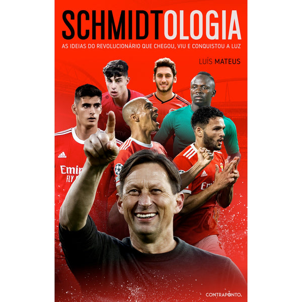 Schmidtologia de Luís Mateus