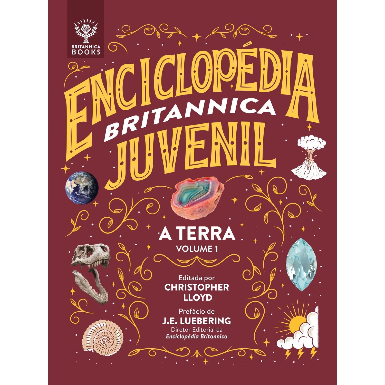Enciclopédia Britânica Juvenil de Christopher Lloyd