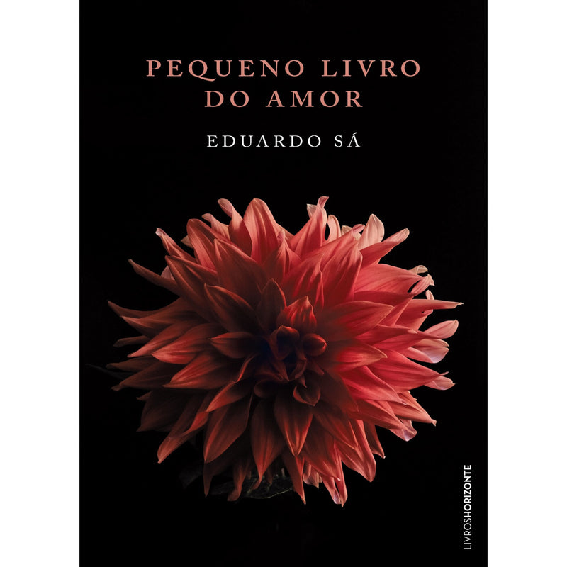 Pequeno Livro Do Amor de Eduardo Sá