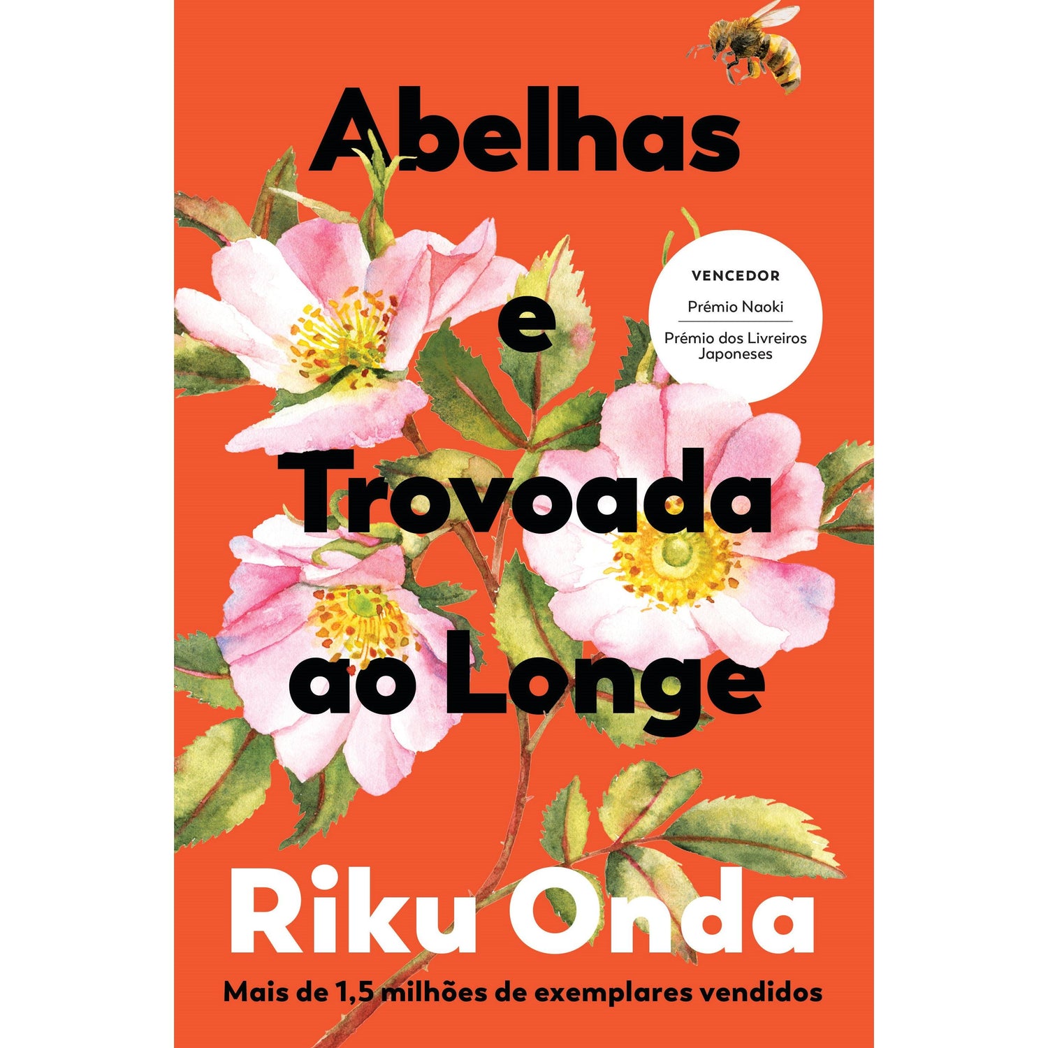 Abelhas e Trovoada ao Longe de Riku Onda