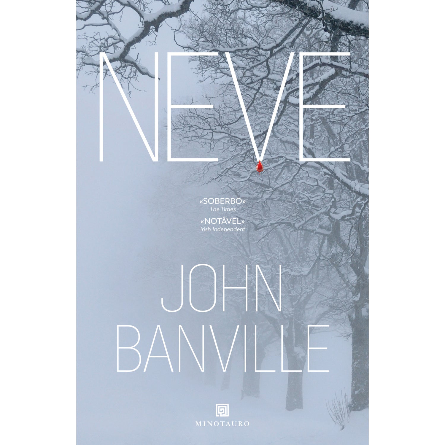 Neve de John Banville