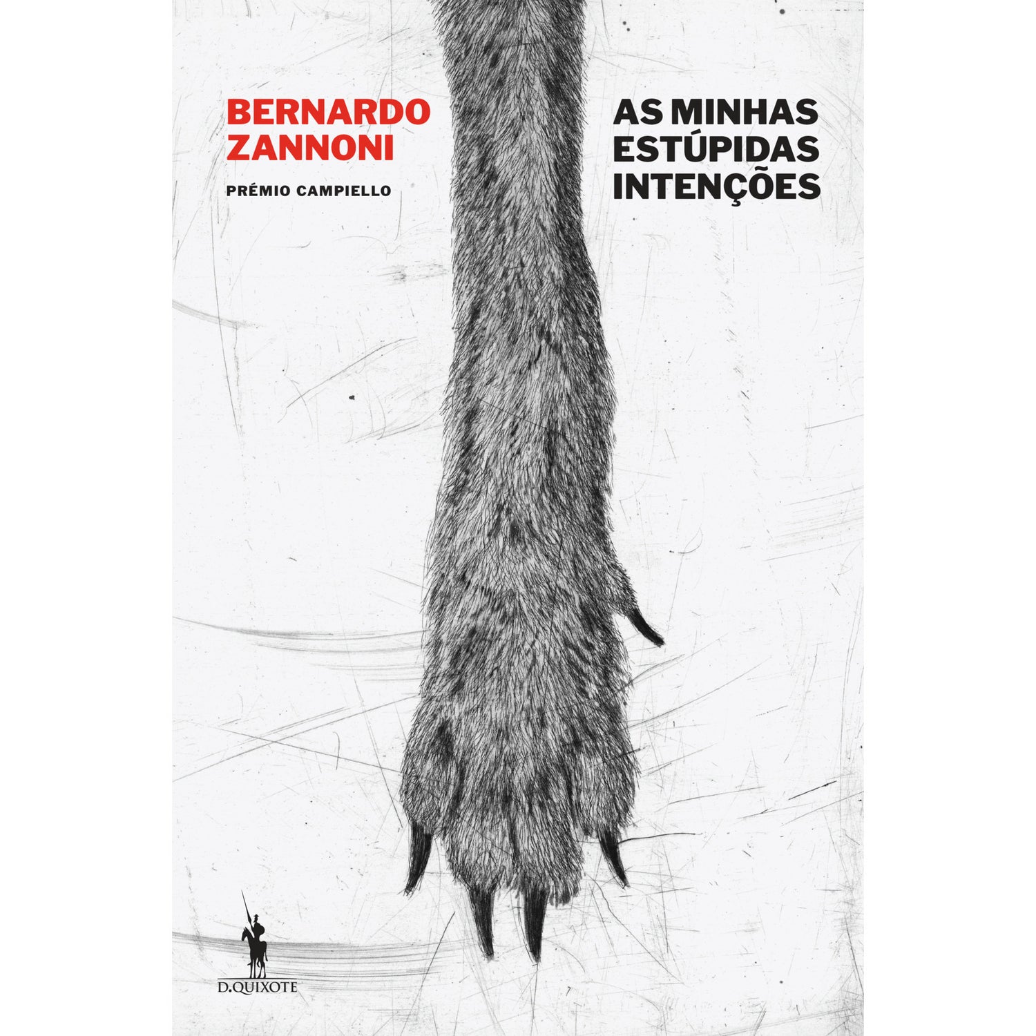 As Minhas Estúpidas Intenções de Bernardo Zannoni