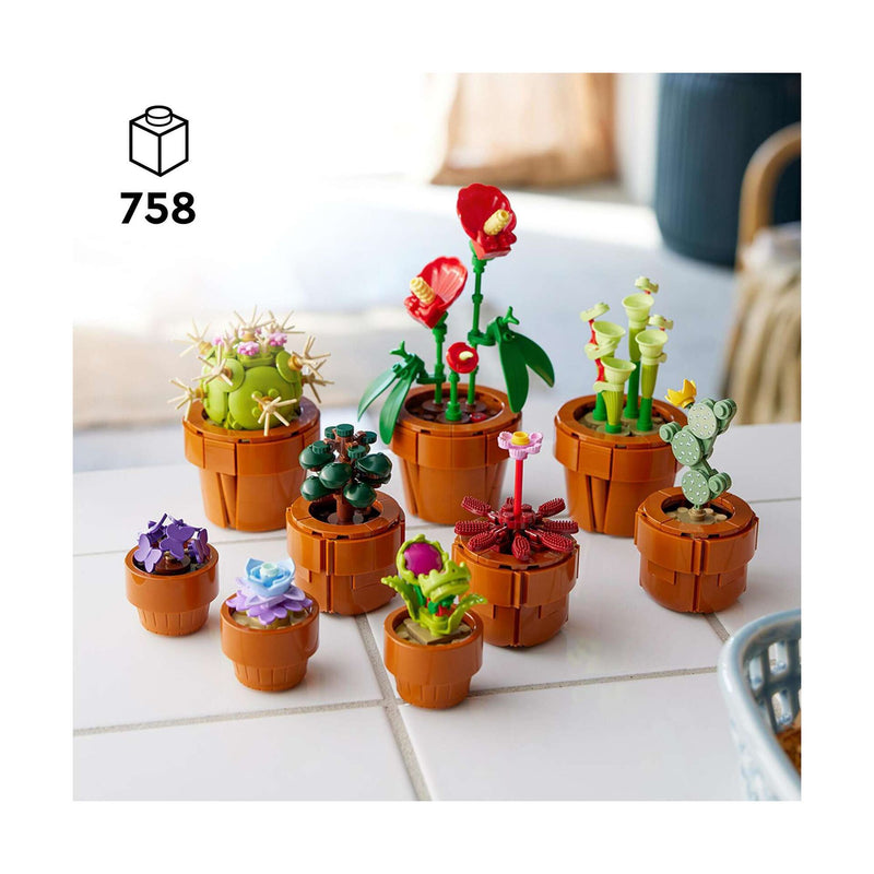 Plantas em Miniatura - 10329