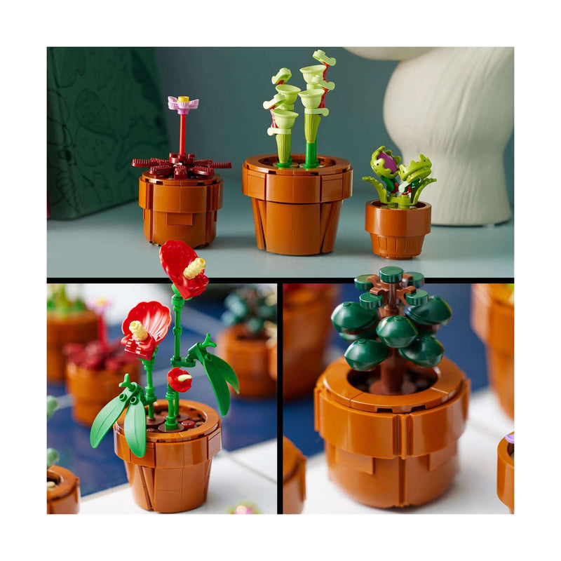 Plantas em Miniatura - 10329