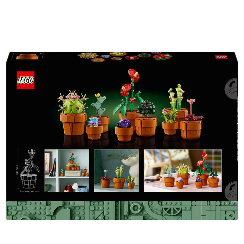 Plantas em Miniatura - 10329