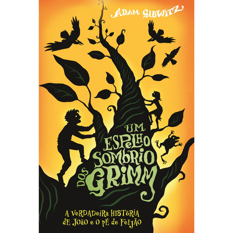 Um Espelho Sombrio dos Grimm de Adam Gidwitz