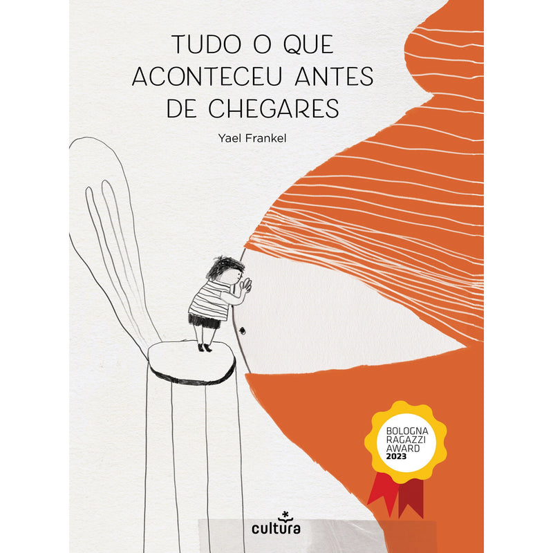 Tudo O Que Aconteceu Antes De Chegares de Yael Frankel