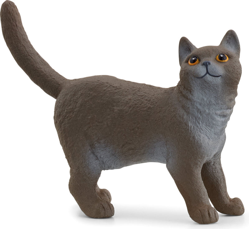 Gato Británico De Pelo Curto Schleich