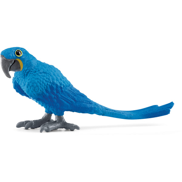 Arara Jacinta Schleich