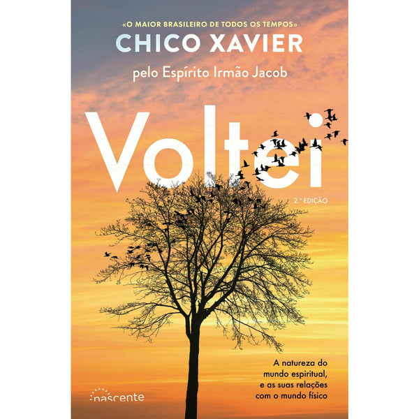 Voltei de Chico Xavier