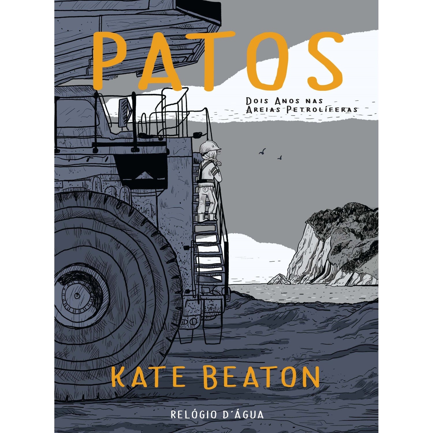 Patos: Dois Anos Nas Areia de Kate Beaton