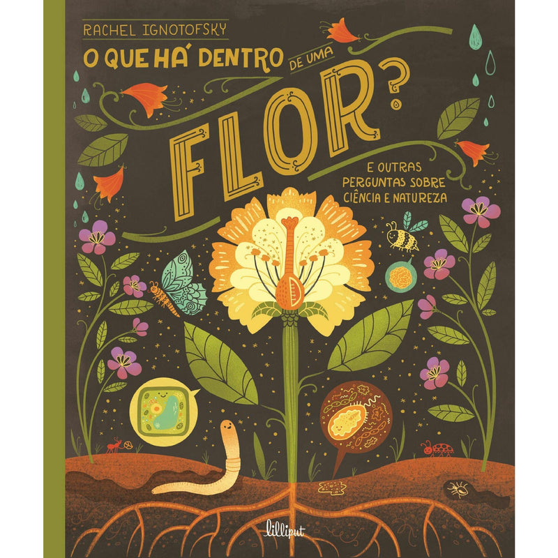 O que Há Dentro de uma Flor? de Rachel Ignotofsky