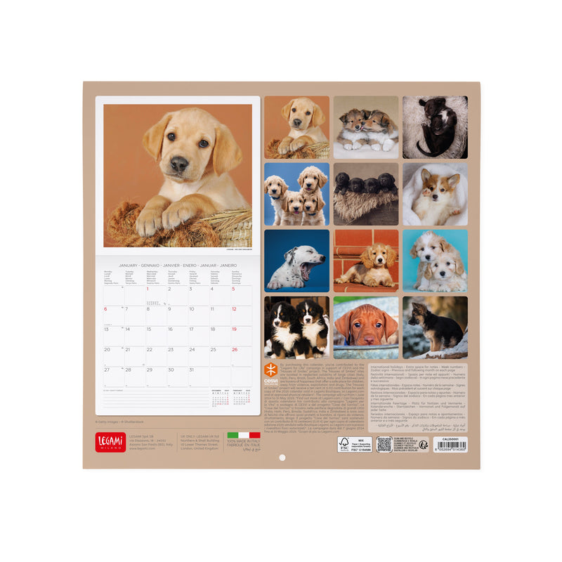 Calendário 2025 30X29 - Puppies