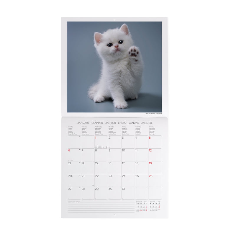 Calendário 2025 30X29 - Kittens