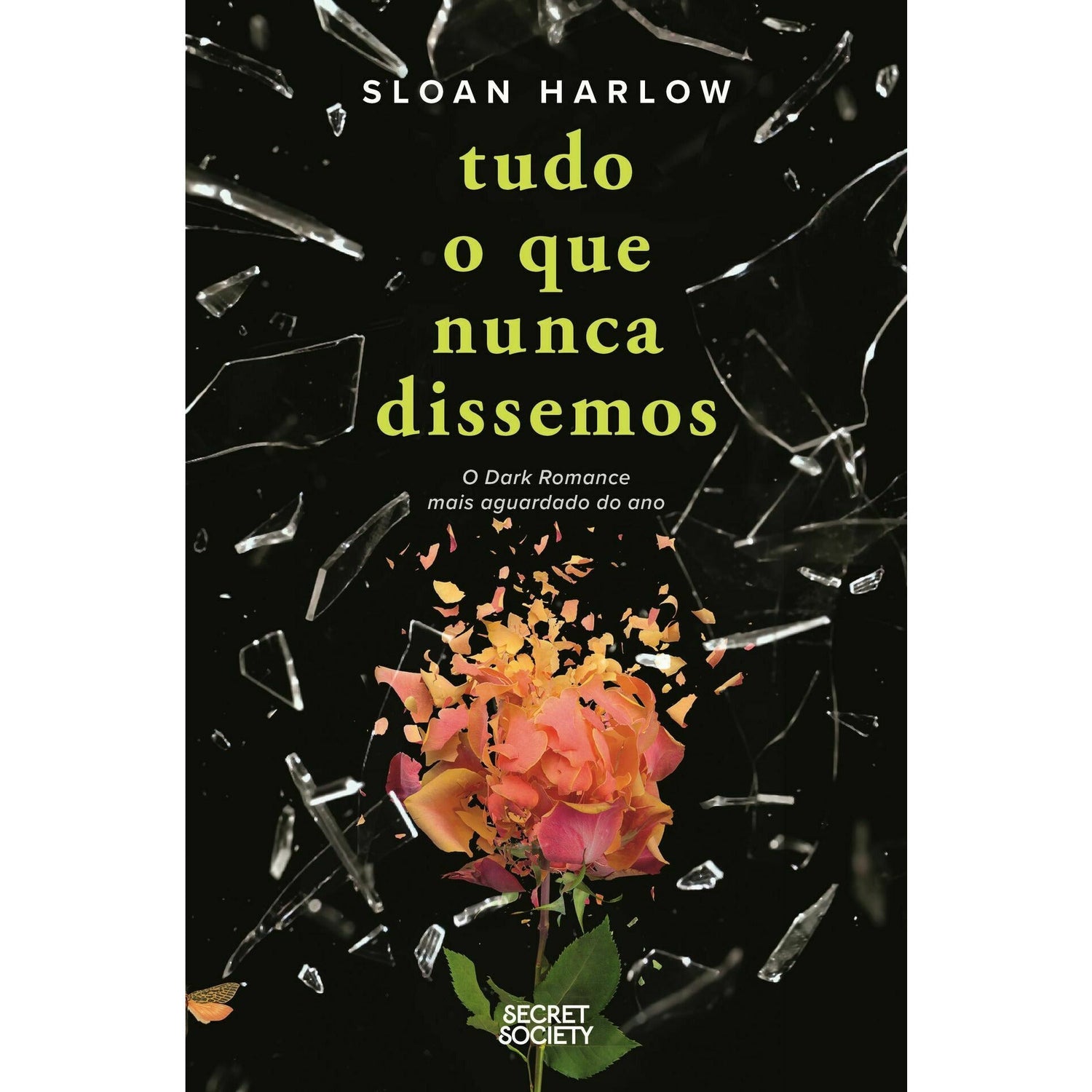 Tudo o que Nunca Dissemos de Sloan Harlow