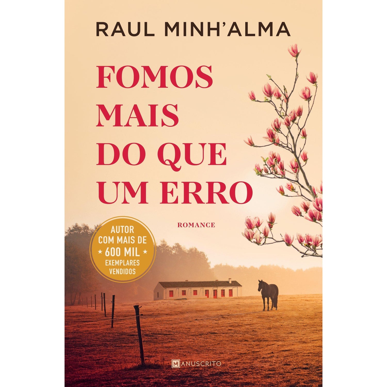 Fomos Mais do que Um Erro de Raul Minh'alma