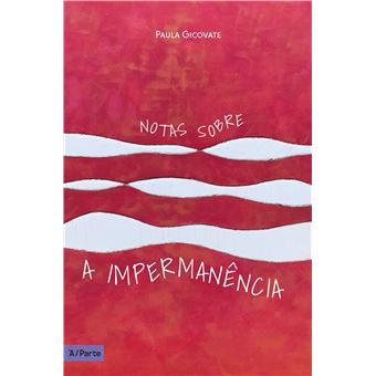 Notas Sobre a Impermanência de Paula Gicovate