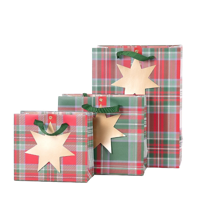 Saco Presente 21X19X10Cm