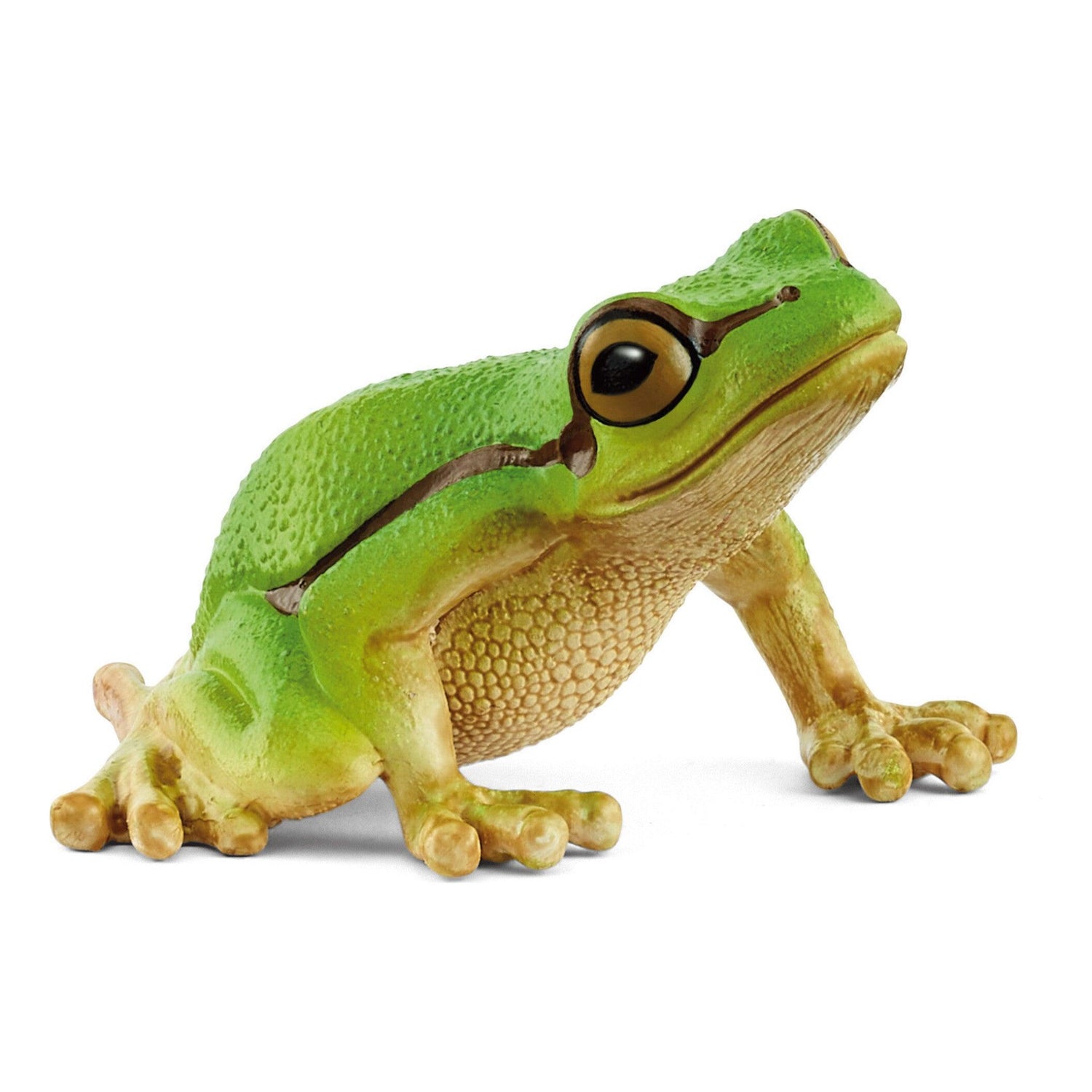 Schleich - Rã Arborícola Europeia