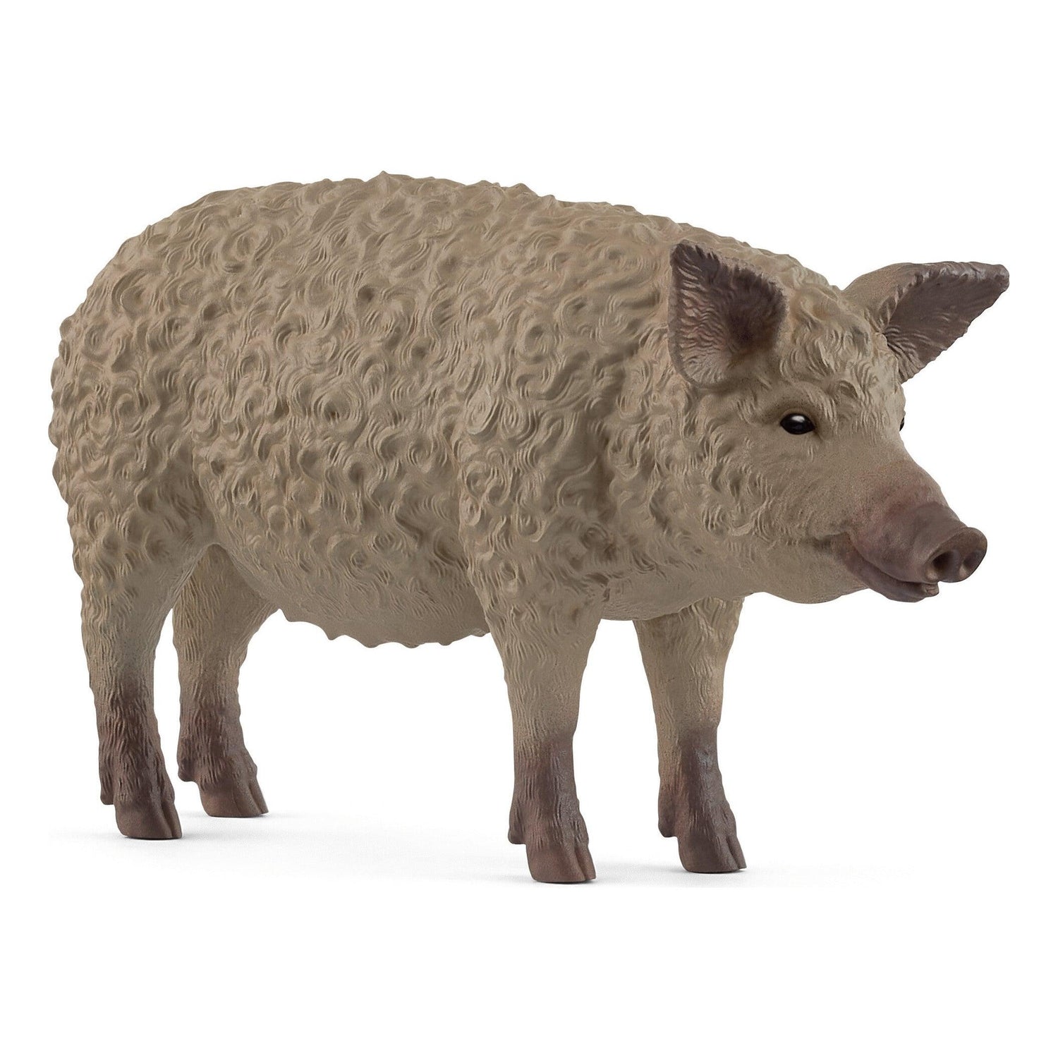 Schleich - Porco Lanoso
