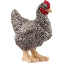 Frango Plymouth Rock Schleich
