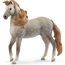 Garanhão Andaluz Schleich