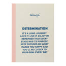 Kit 3 Cadernos A6 - Determination