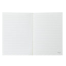 Kit 3 Cadernos A6 - Determination