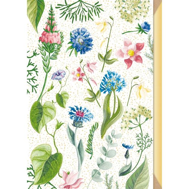 Postal - Flores Shiny
