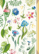 Postal - Flores Shiny