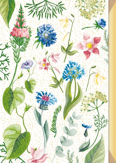 Postal - Flores Shiny